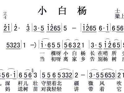 小白杨教唱曲谱_小白杨曲谱