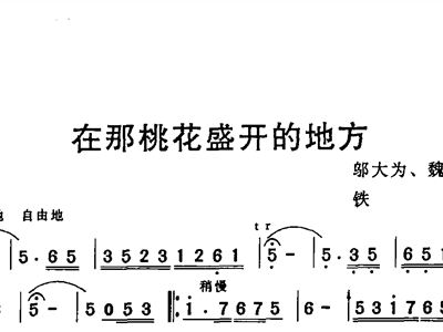 在哪桃花盛开的地方简谱_在那桃花盛开的地方蒋大为歌谱简谱