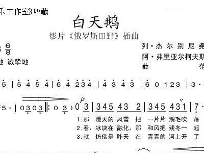 白天鹅简谱_白天鹅简笔画