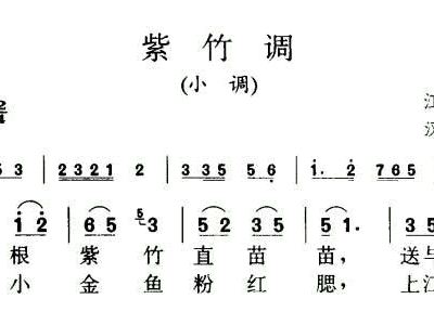 紫竹调歌曲简谱_紫竹调简谱(2)