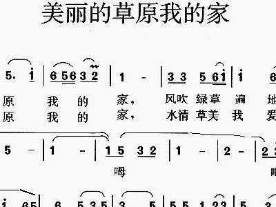 美丽的草原是我家曲谱简谱_美丽的草原我的家简谱(5)