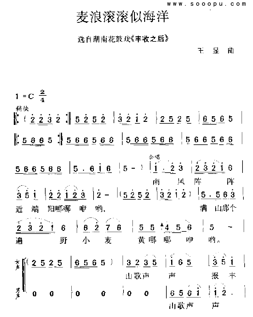 麦浪滚滚似海洋