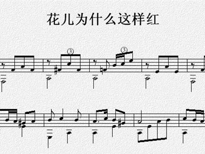 花儿为什么这样红曲谱_花儿为什么这样红(4)