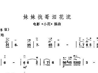 二胡 妹妹找哥泪花流 二胡谱 简谱
