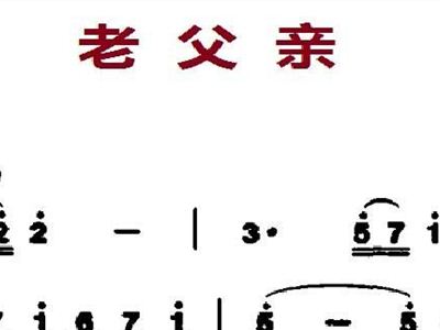 曲谱我的老父亲_刘和刚我的老父亲曲谱(3)