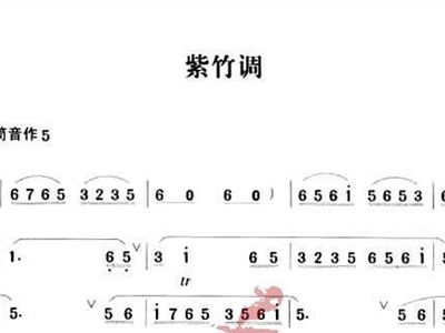 紫竹调+笛子谱,箫谱+简谱