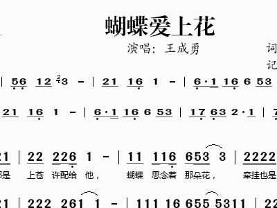 两只蝴蝶简谱电子琴谱_两只蝴蝶简谱歌谱(4)