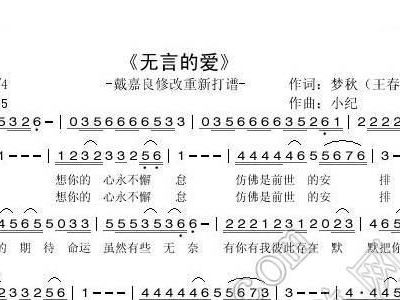 无言简谱_有情无言简谱(3)