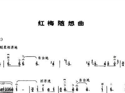 二胡曲红梅随想曲谱_红梅花儿开曲谱简谱(2)