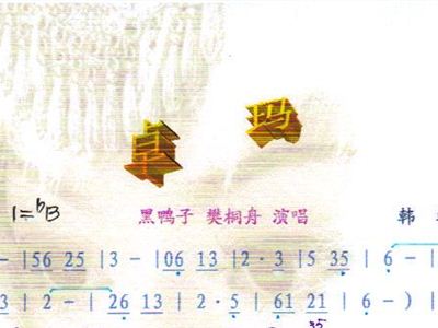 黑鸭子简谱_小看戏黑鸭子简谱(3)