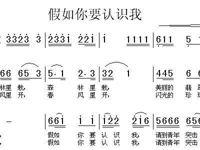 假如我是你简谱_我是你的格桑花简谱(2)