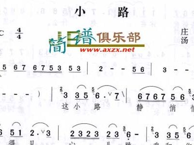 邓丽君小路简谱_简谱邓丽君