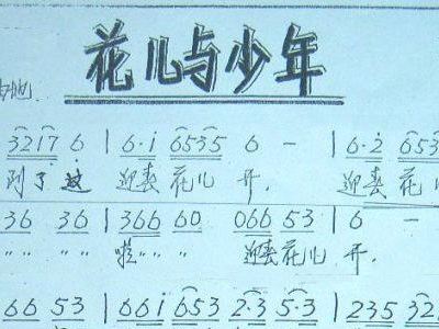 花儿与少年 二声部合唱