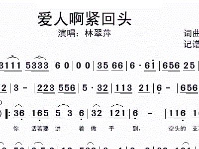 林翠萍情网简谱_林翠萍情网曲谱(3)