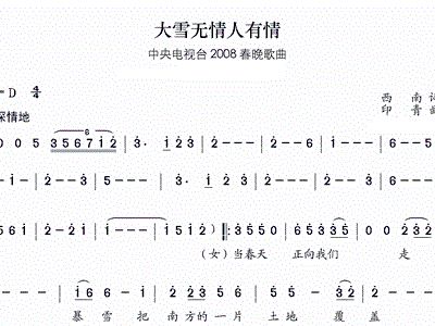 大雪简谱琵琶_大鱼琵琶谱简谱(3)