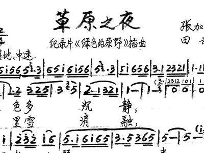 草原之夜歌词简谱_草原之夜简谱(3)