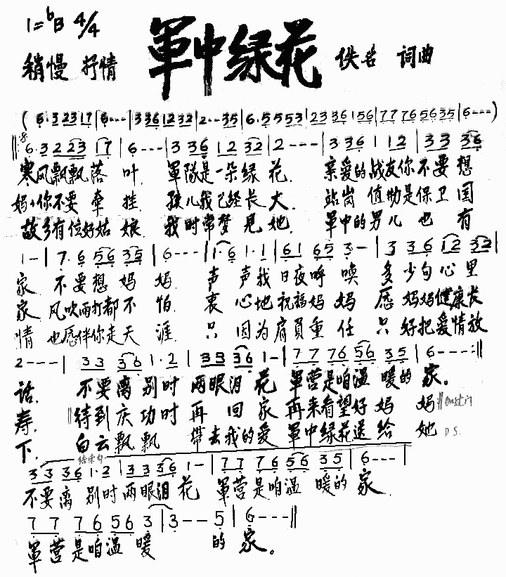 军中绿花