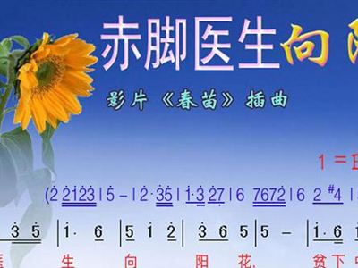 赤脚医生向阳花简谱_赤脚医生向阳花图片