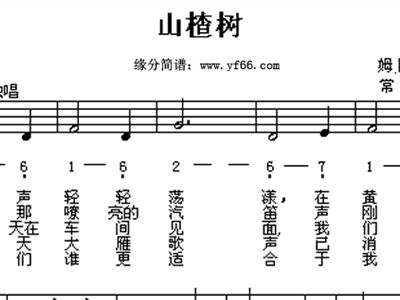 山楂树歌曲简谱_俄罗斯歌曲山楂树简谱