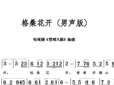格桑花开简谱_我是你的格桑花简谱(3)