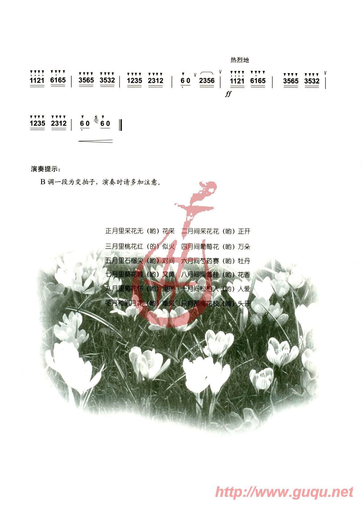 《采花》,二手玫瑰（六线谱 调六线吉他谱-虫虫吉他谱免费下载