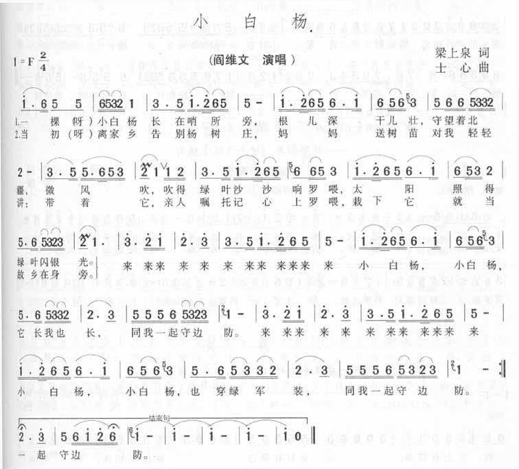 小白杨