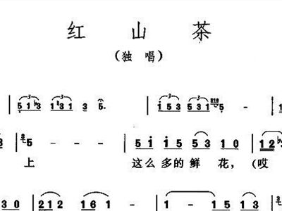 红山茶简谱_红山茶香烟