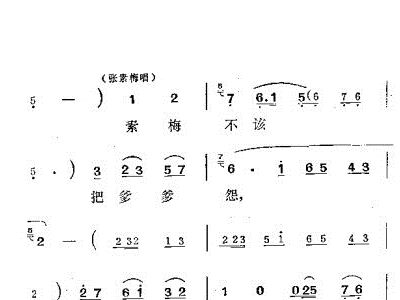 借亲吕剧简谱_吕剧借亲vcd(3)