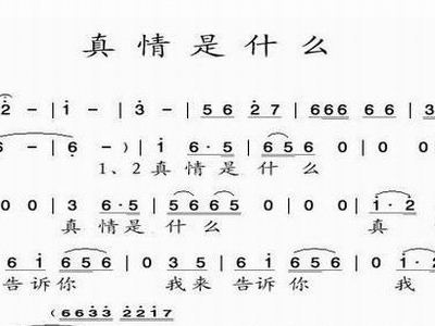 青冈石简谱_青冈石图片(2)