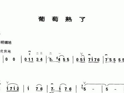 葡萄熟了简谱_吐鲁番的葡萄熟了简谱(2)