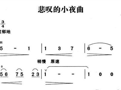 悲叹的小夜曲简谱_月半小夜曲简谱
