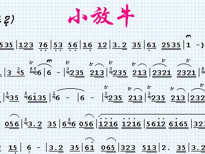 简谱森纹身_杰森斯坦森纹身(2)