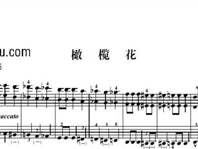手风琴萱草花曲谱_萱草花钢琴曲谱(2)