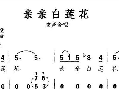 白莲花简谱_白莲花