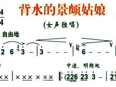 景颇族曲谱_景颇族服饰(3)