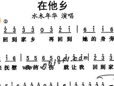 流浪在他乡曲谱_我在他乡挺好的