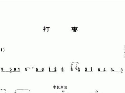 喜庆唢呐简谱_百鸟朝风唢呐喜庆简普(3)