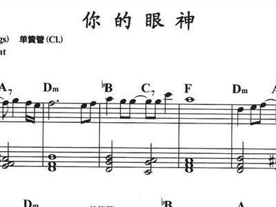 你的眼神简谱_你的眼神蔡琴简谱(3)