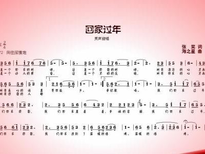 回家过年