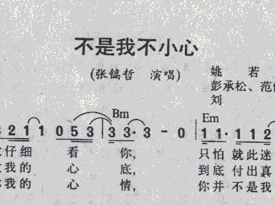 不小心简谱_不是我不小心简谱(2)