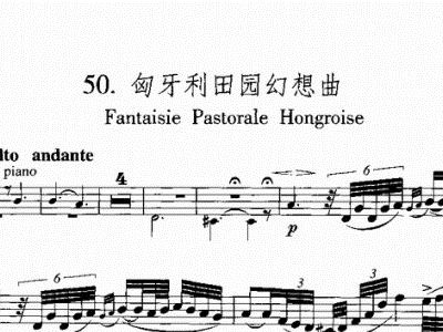 童年长笛简谱_天空之城长笛简谱(3)