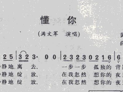 懂你简谱满文军_懂你满文军(3)