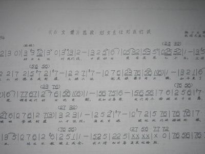 简谱的领导_儿歌简谱(3)