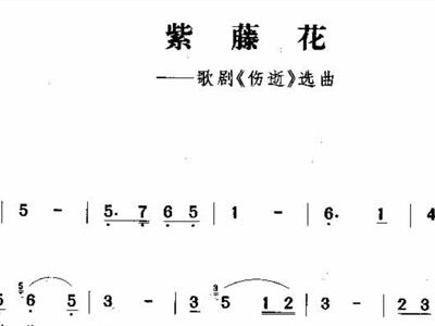 紫藤花 歌谱,吉他谱 和弦谱,简谱