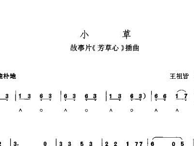 小草的电子琴曲谱_电子琴曲谱(2)