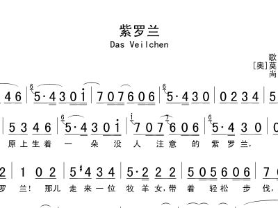 紫罗兰简谱_紫罗兰永恒花园ed简谱(2)