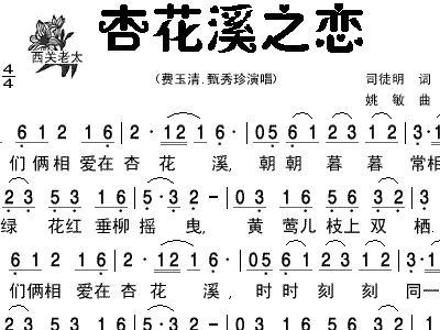 白芷溪简谱_白芷图片(2)