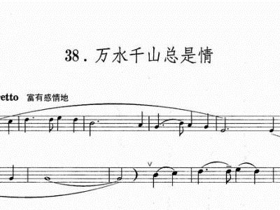 情网小提琴谱_乡土情 小提琴 钢琴伴奏 小提琴谱图片格式 小提琴谱(3)