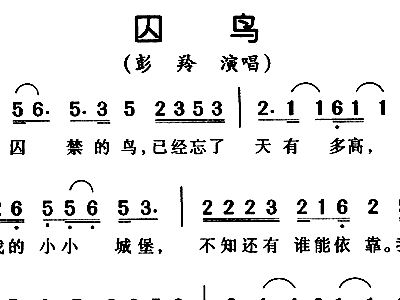 囚鸟简谱_红颜知己简谱囚鸟(2)