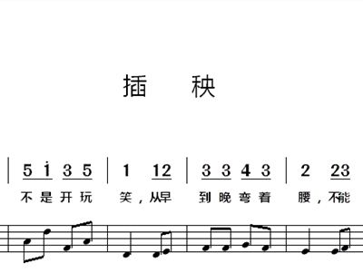 插秧曲谱_水稻插秧图片